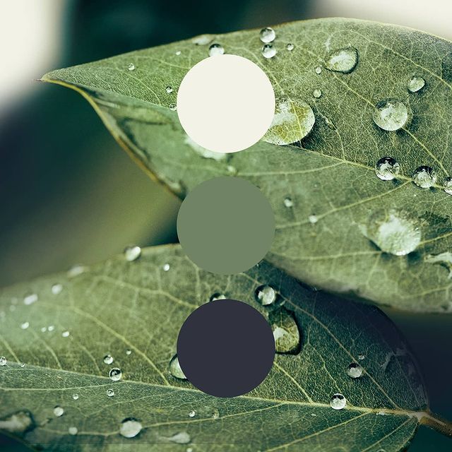 Inspiration Gallery » COLORSTEEL®